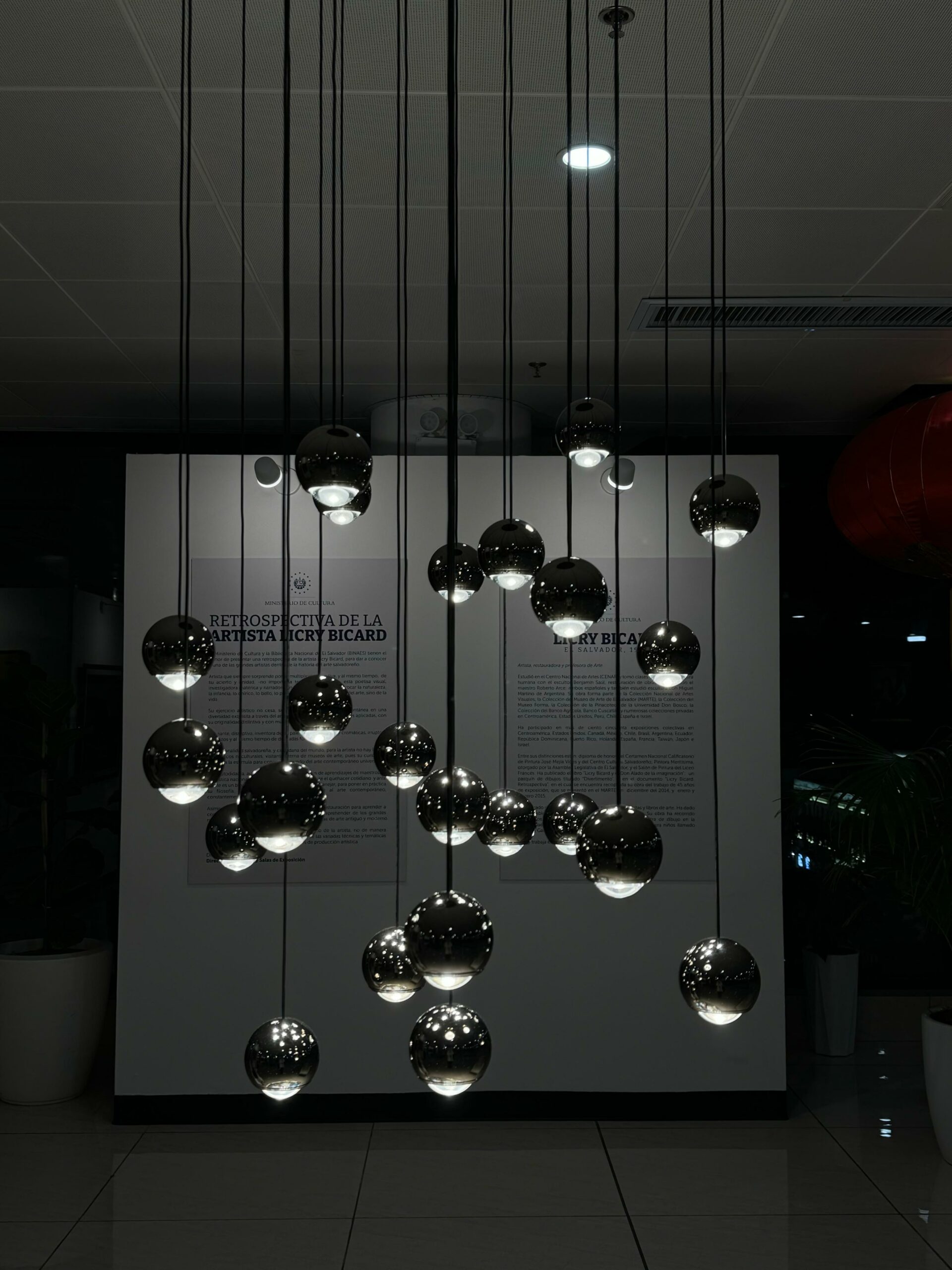 WhatsApp Image 2025-01-29 at 4.52.51 PM (1)